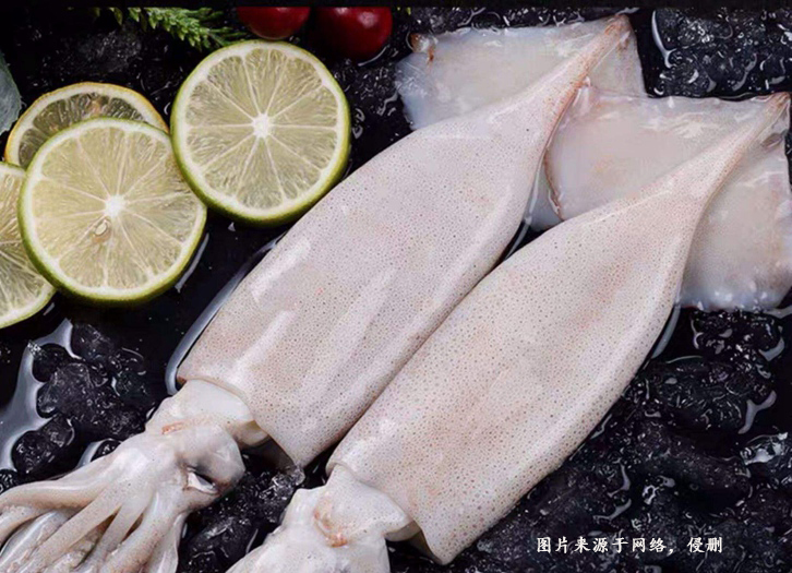巴基斯坦魷魚(yú)進(jìn)口報(bào)關(guān)資料
