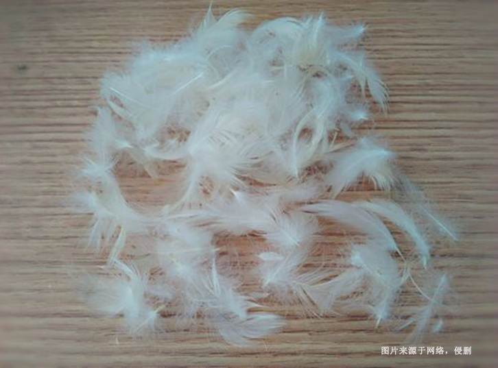 進(jìn)口馬來(lái)西亞水洗鴨毛報(bào)關(guān)