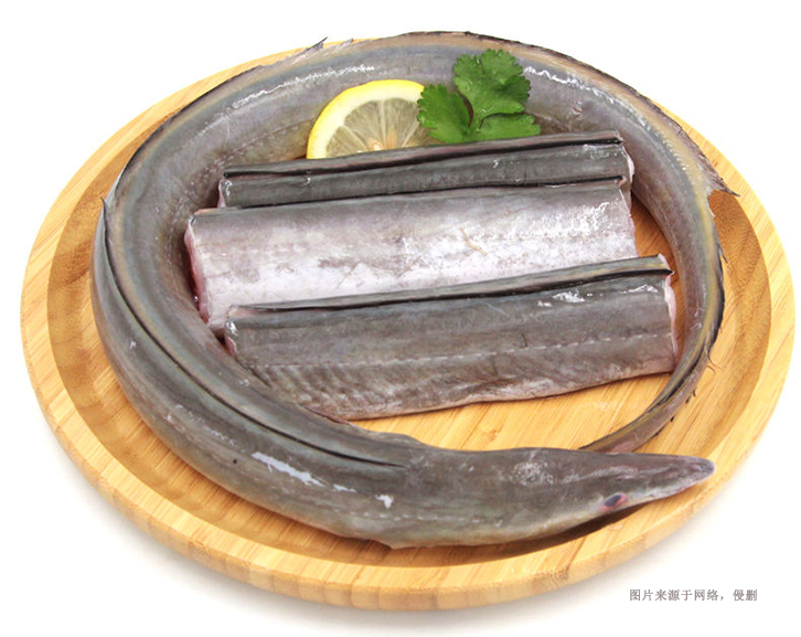 馬來西亞冷凍鰻魚進口報關