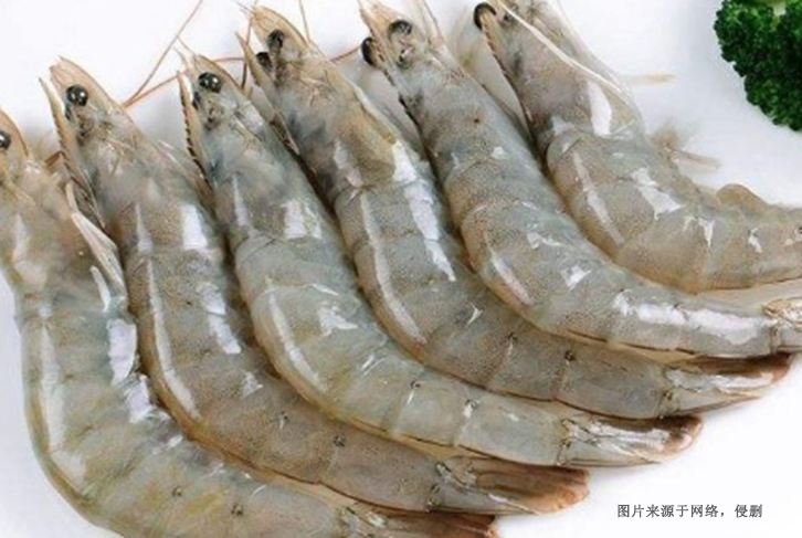 印尼去頭明對蝦進(jìn)口報關(guān)