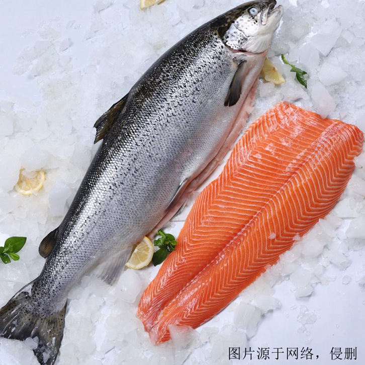挪威三文魚進(jìn)口報關(guān)資料
