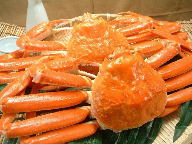 進(jìn)口澳大利亞雪蟹報(bào)關(guān)