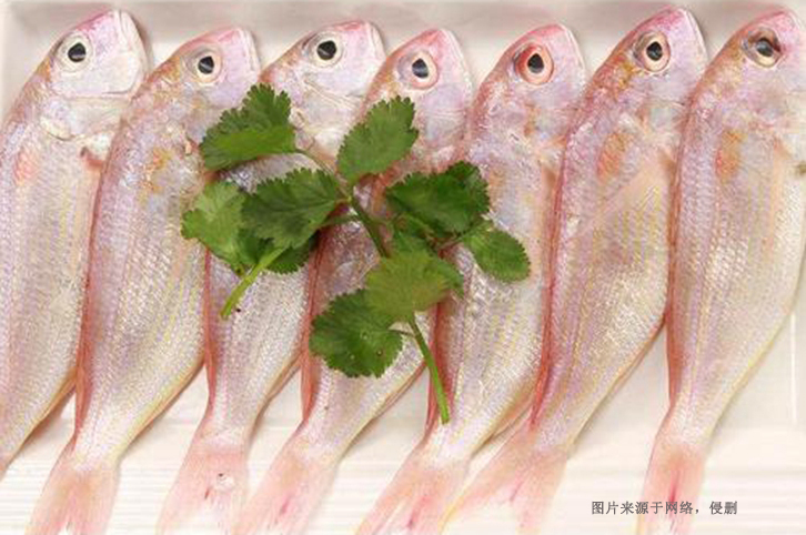 進(jìn)口巴基斯坦金線魚報關(guān)