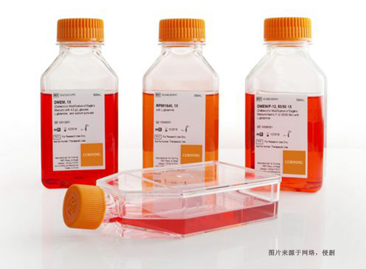 德國細胞培養(yǎng)試劑進口報關(guān)資料_上?？者\生物試劑