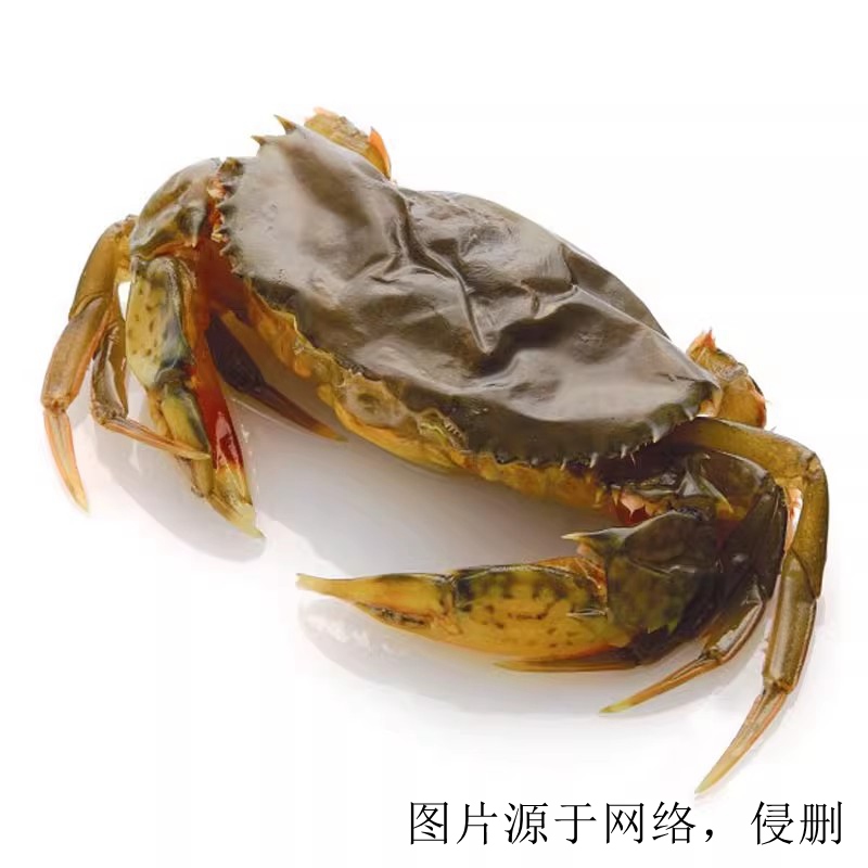 馬來西亞青蟹進口清關(guān)流程