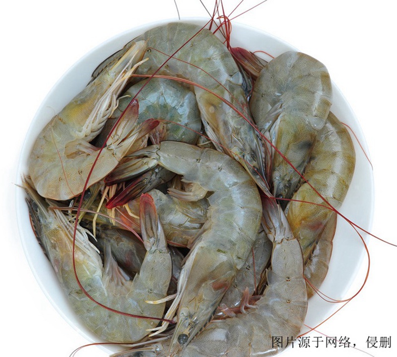 越南凡納濱對蝦進(jìn)口報(bào)關(guān)流程-19年冷凍水產(chǎn)品報(bào)關(guān)行